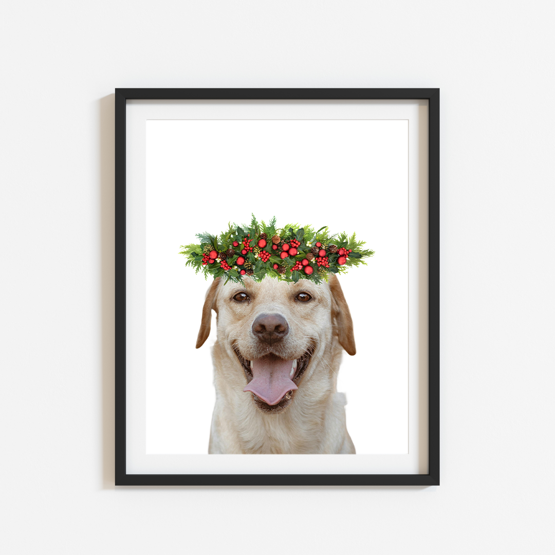 Holiday Crown Pet Portrait Canvas