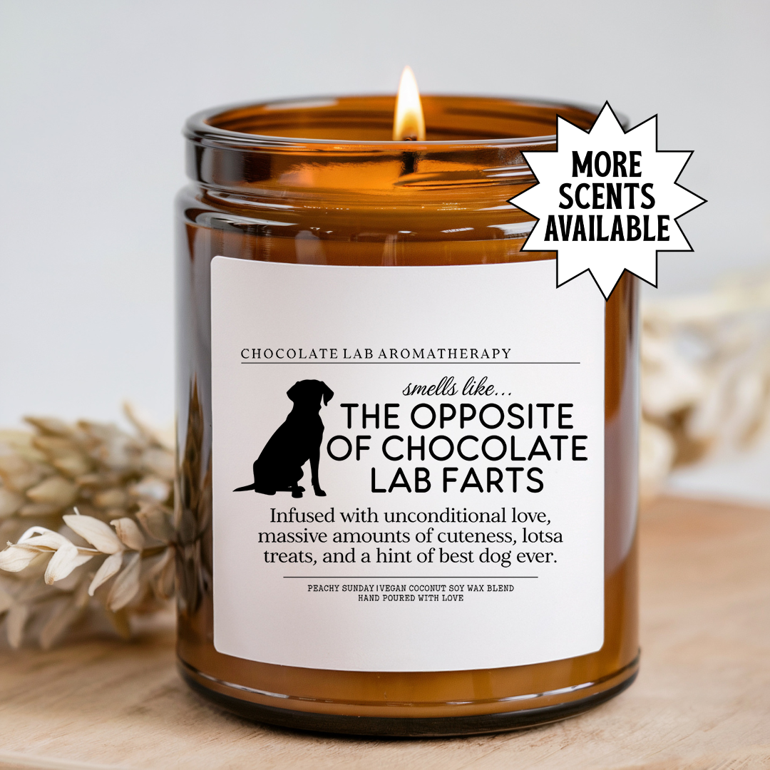Smells Like The Opposite of Chocolate Lab Farts Candle