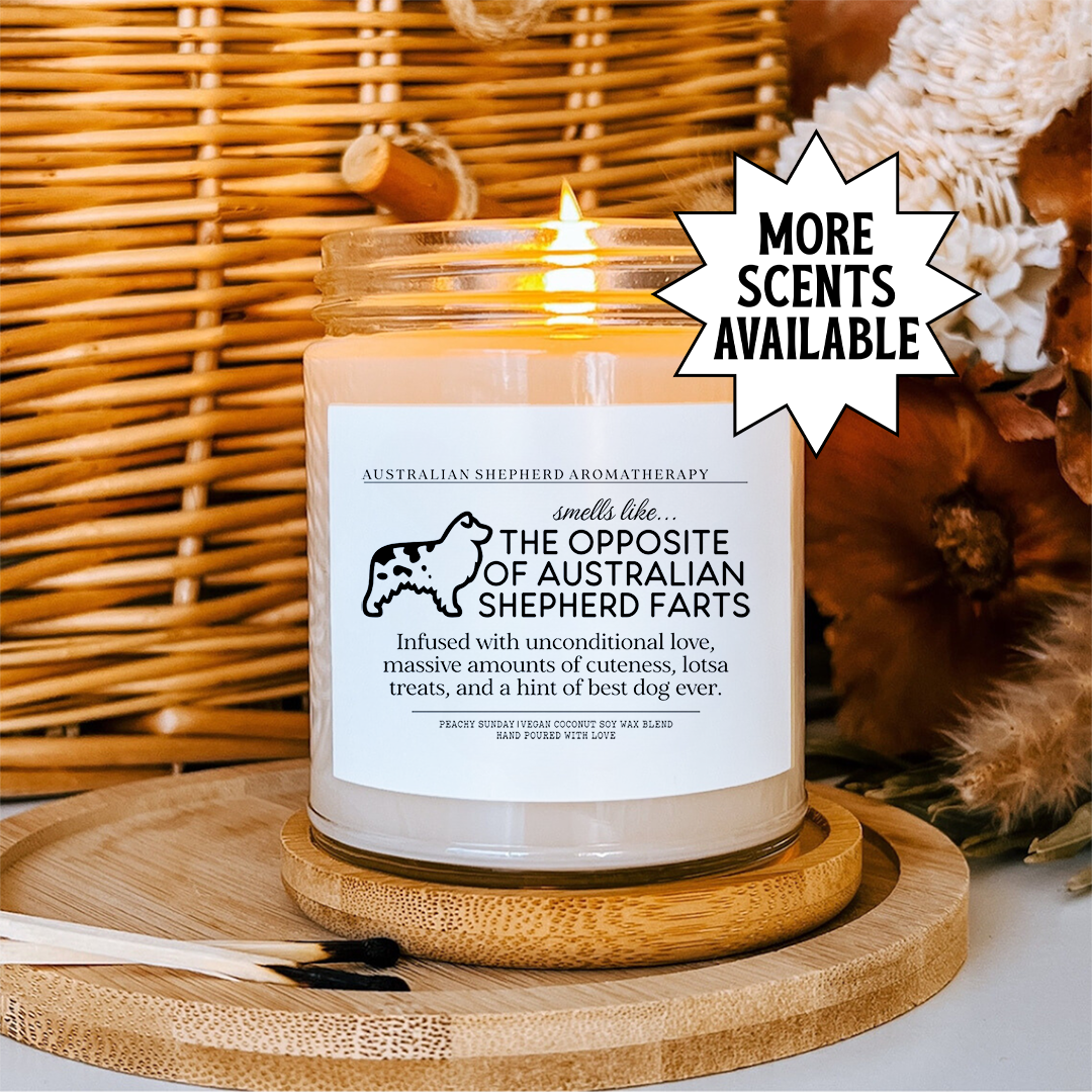 Smells Like The Opposite Of Basset Hound Farts Candle