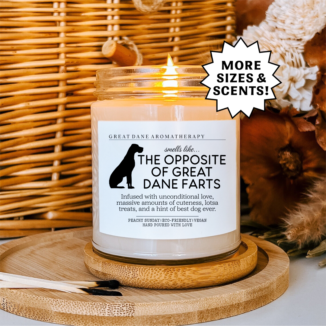 Smells Like The Great Dane Farts Candle
