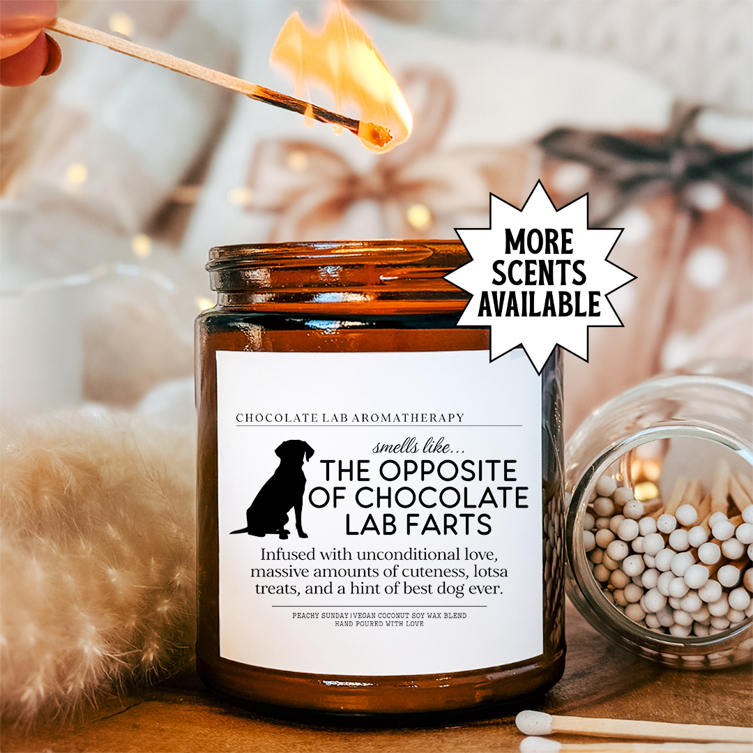 Smells Like The Opposite of Chocolate Lab Farts Candle