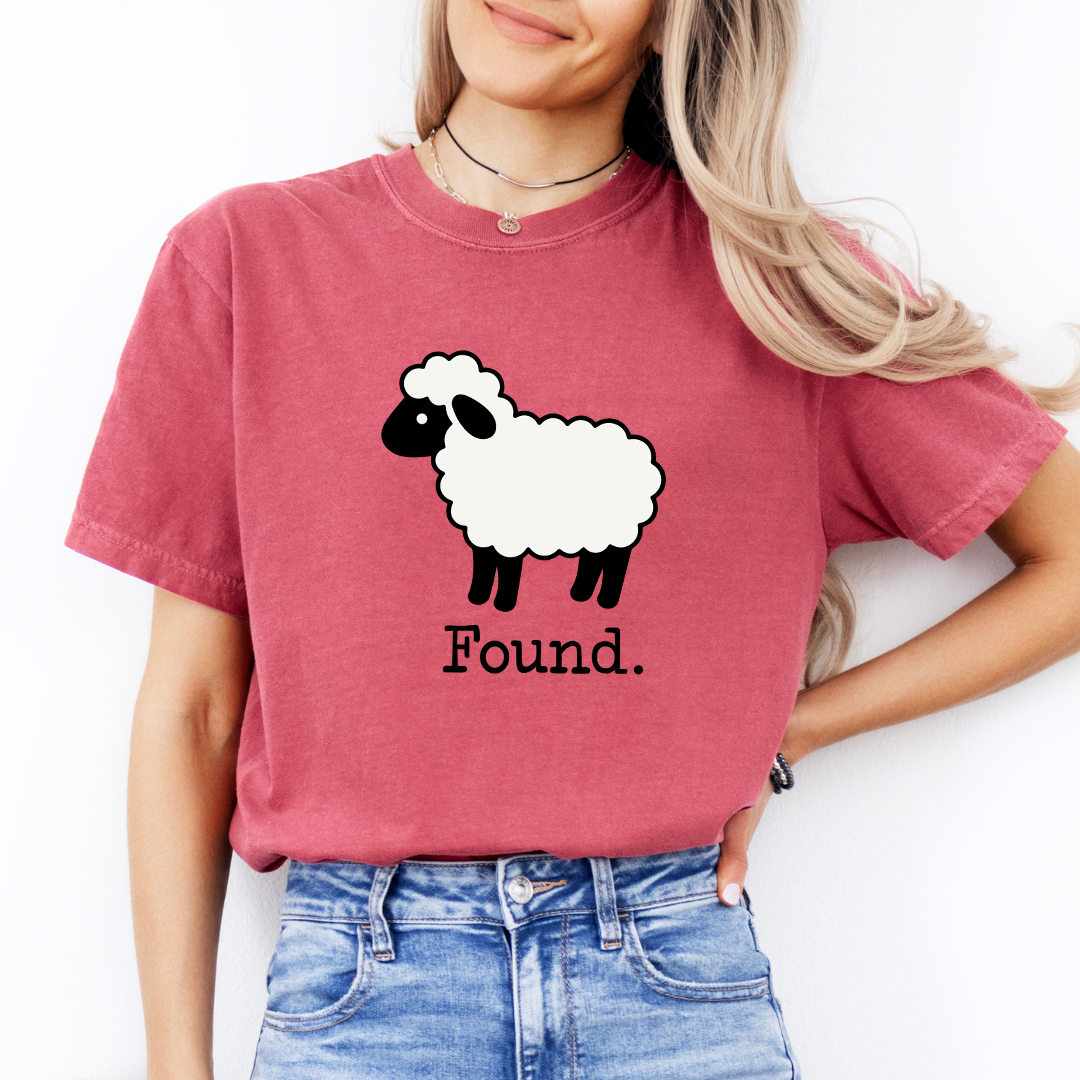 Found Sheep Faith Embroidered Tee