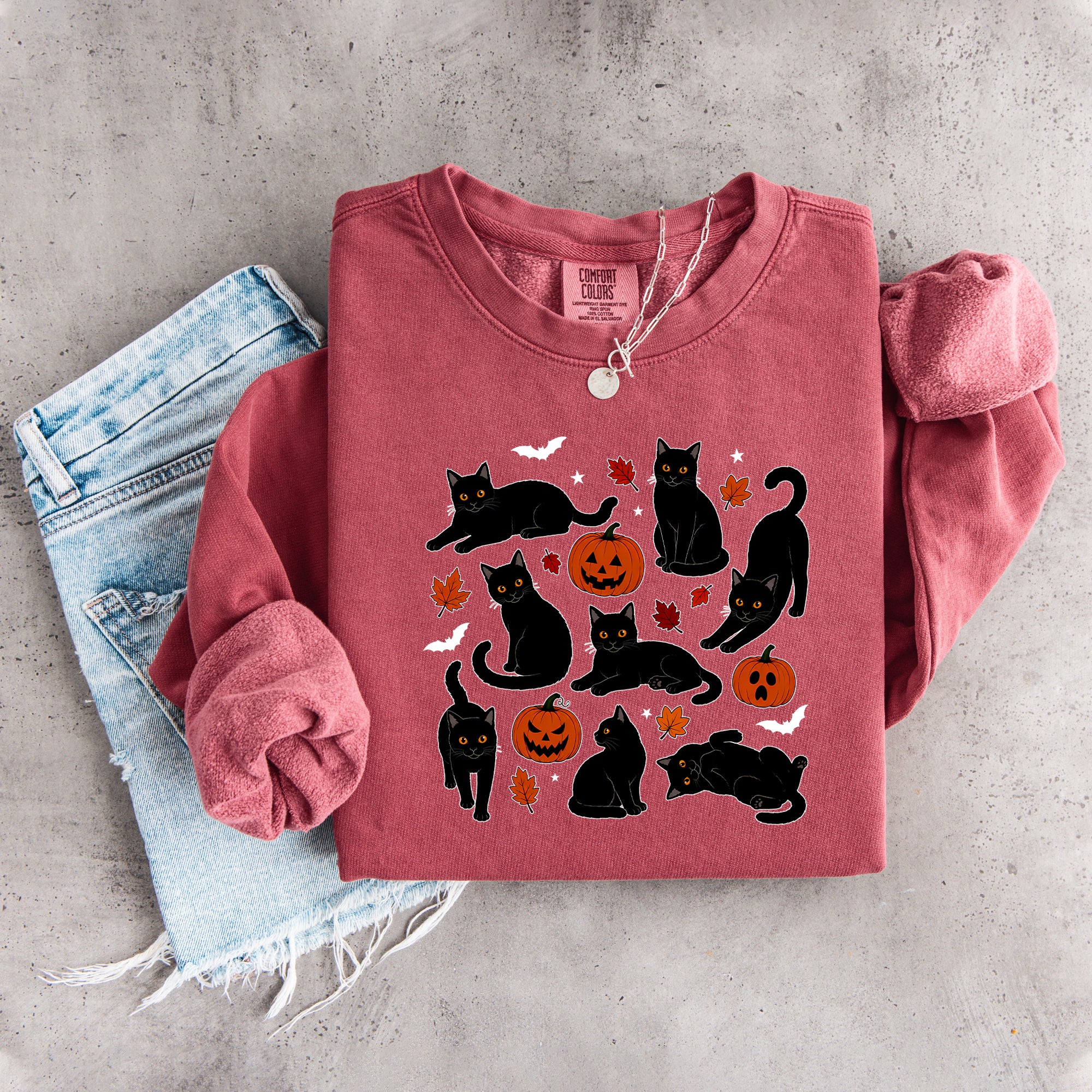 Sudadera de gato otoñal con calabaza
