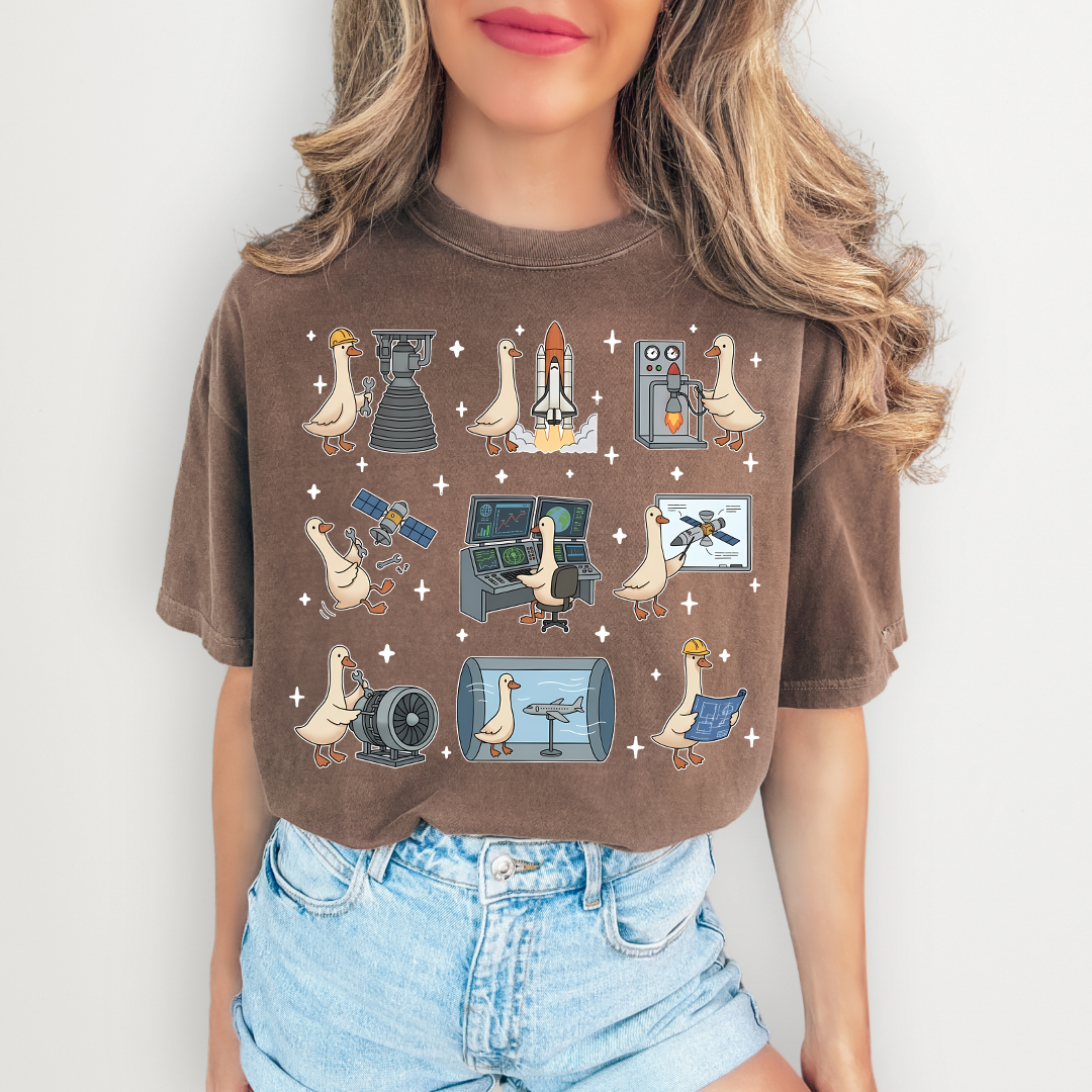 Aerospace Engineer Silly Goose Tee
