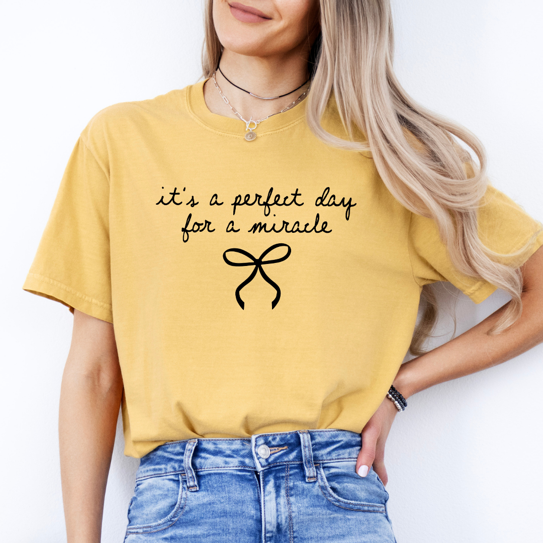 Es ist der perfekte Tag für ein Wunder – T-Shirt