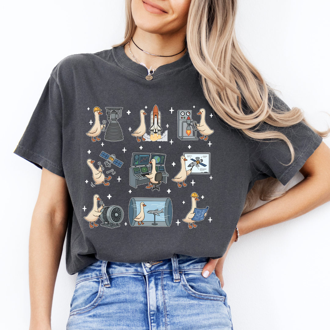 Aerospace Engineer Silly Goose Tee