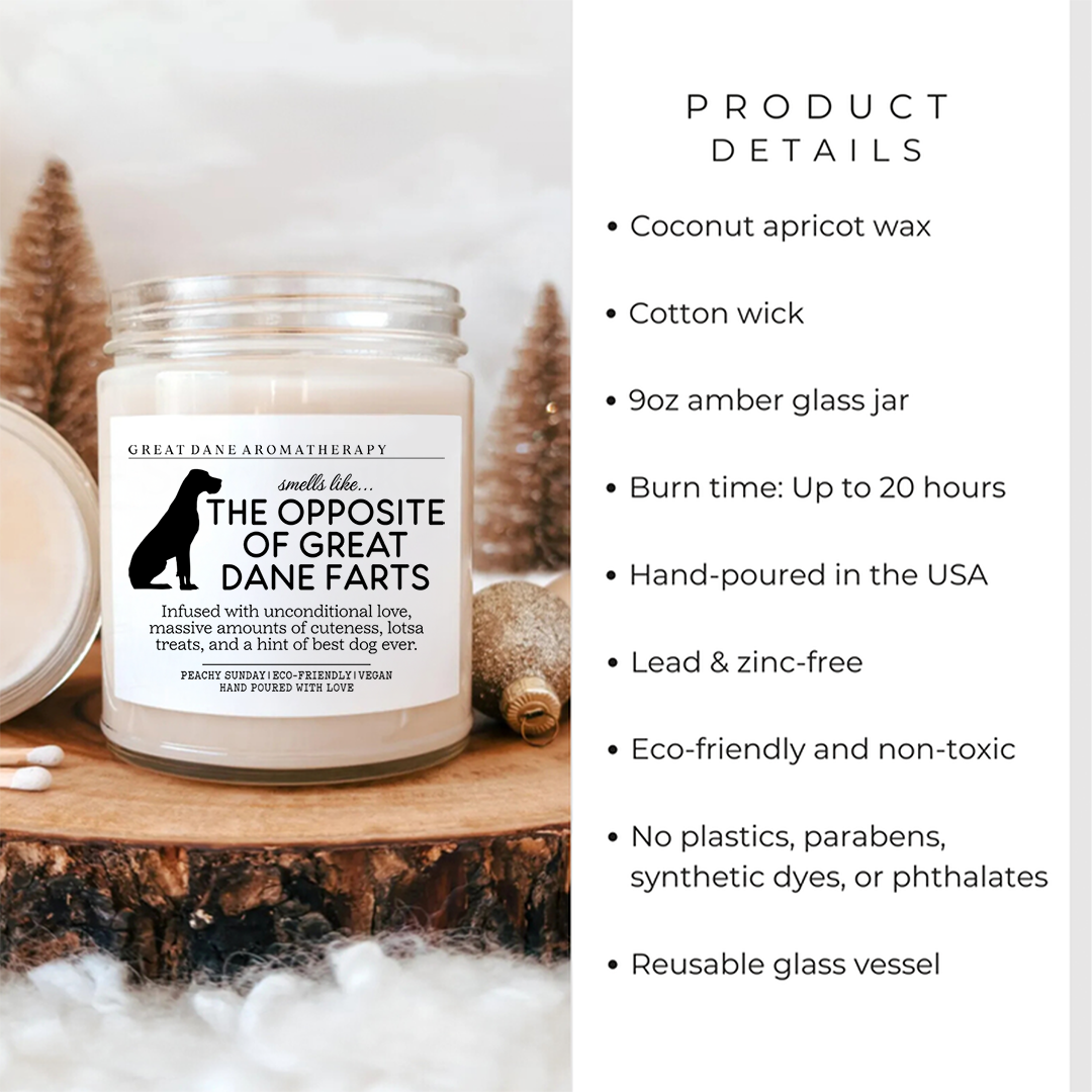 Smells Like The Great Dane Farts Candle
