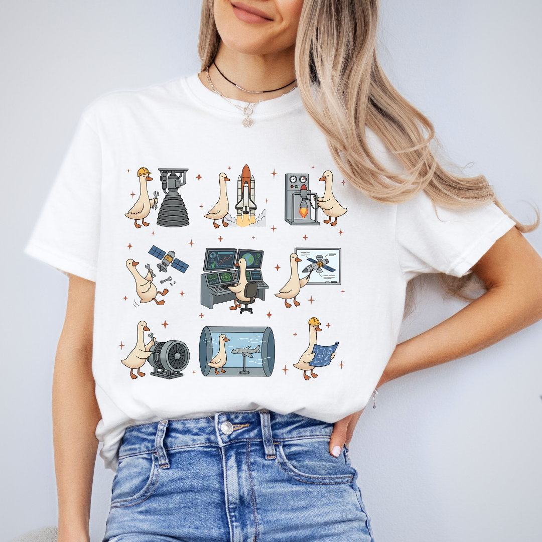 Aerospace Engineer Silly Goose Tee
