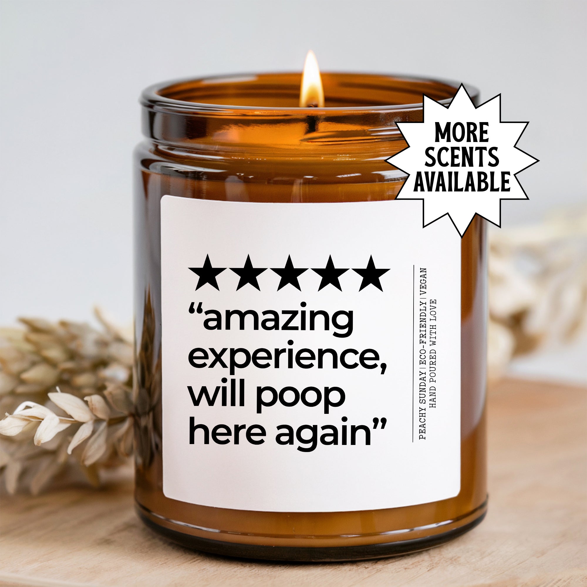 Amazing Experience Will Poop Here Again Candle