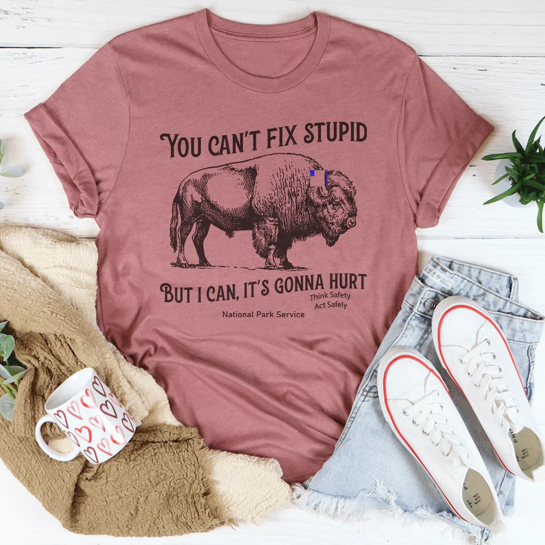 You Can't Fix Stupid But I Can It's Gonna Hurt Think Safely Act Safely National Park Service Tee Mauve / S Peachy Sunday T-Shirt