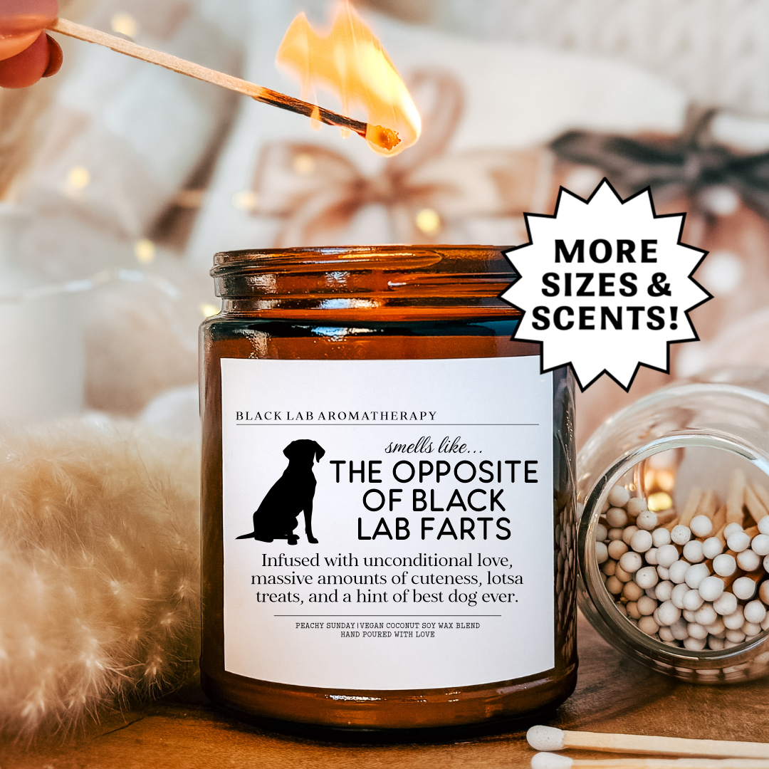 Smells Like The Opposite Of Black Lab Farts Candle