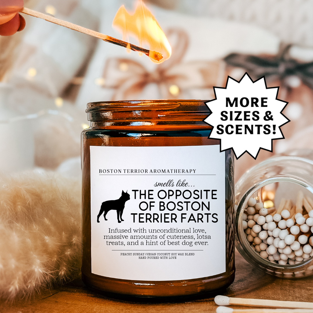 Smells Like The Opposite Of Boston Terrier Farts Candle