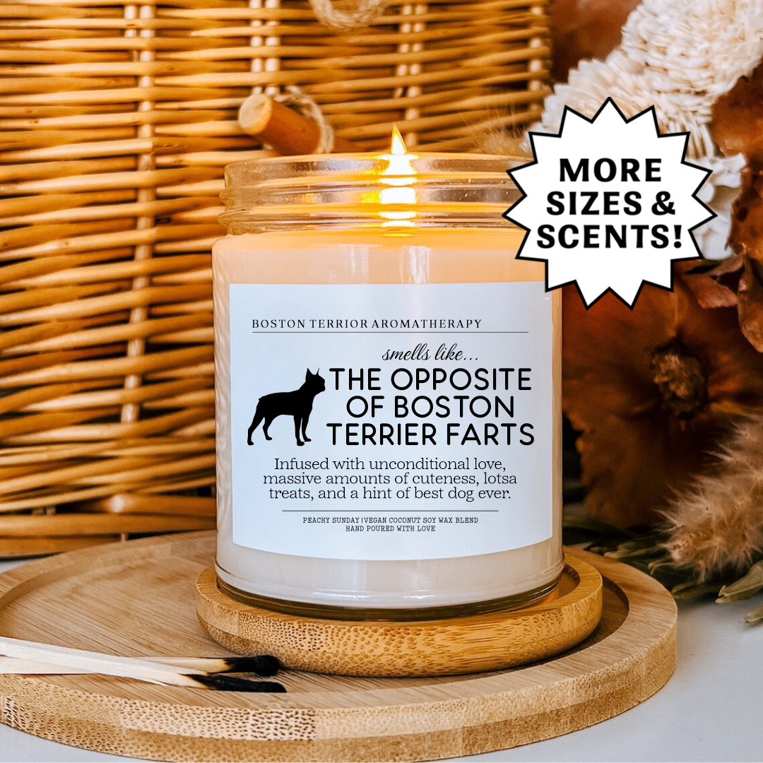 Smells Like The Opposite Of Boston Terrier Farts Candle