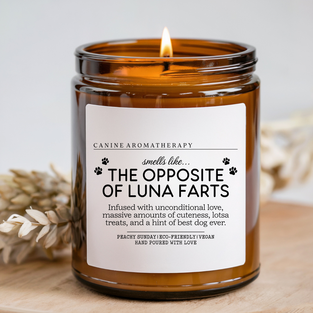 Customized The Opposite Of Custom Name Farts Candle