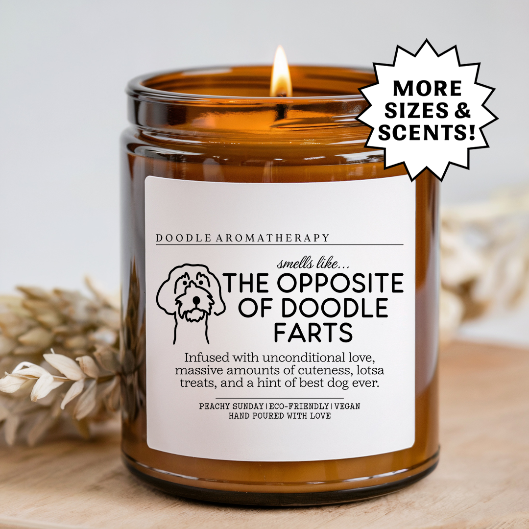 Smells Like The Opposite Of Doodle Farts Candle