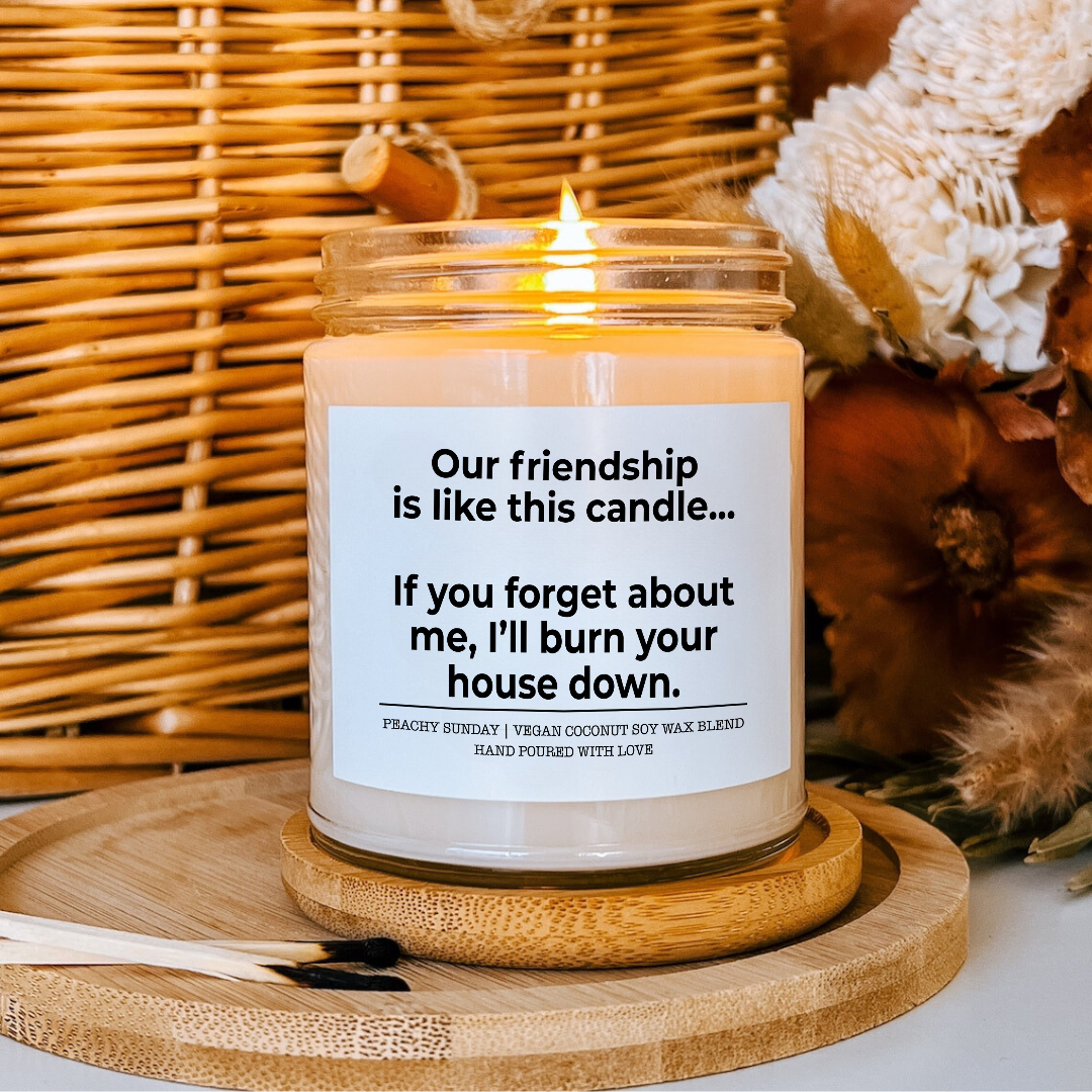 Our Friendship Is Like This Candle Best Friend Gift Candle