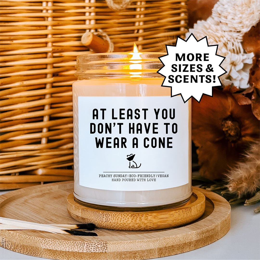 At Least You Don't Have To Wear A Cone Candle