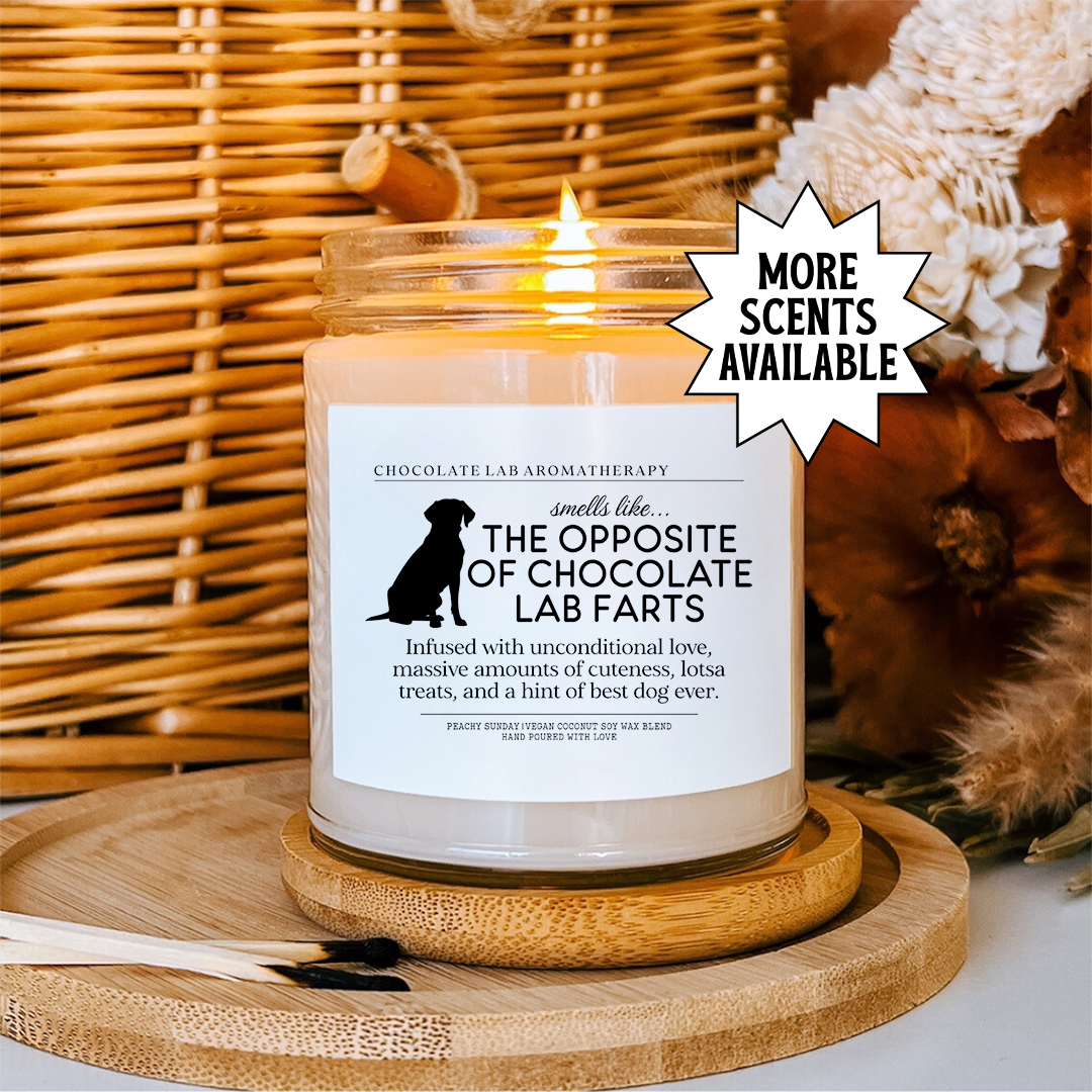 Smells Like The Opposite of Chocolate Lab Farts Candle