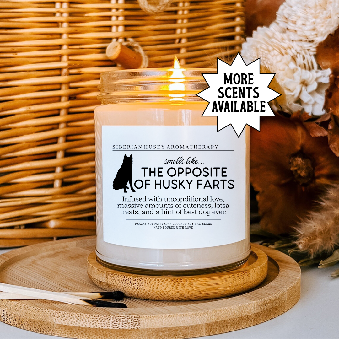 Smells Like The Opposite Of Husky Farts Candle