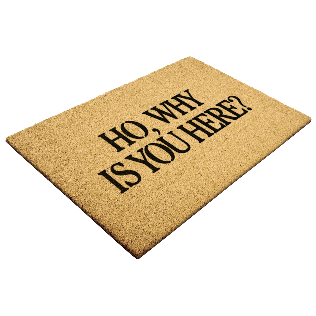 Ho_Why_Is_You_Here_Doormat_Outdoor_Mat_Angle_Mockup.png_16303385