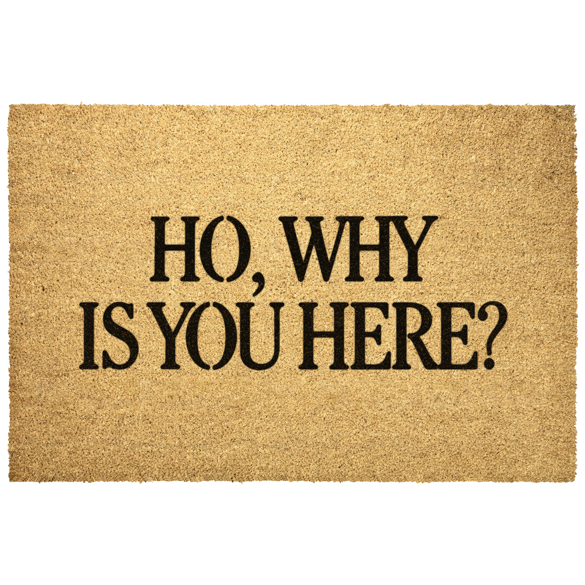 Ho_Why_Is_You_Here_Doormat_Outdoor_Mat_Main_Mockup.png_16303380