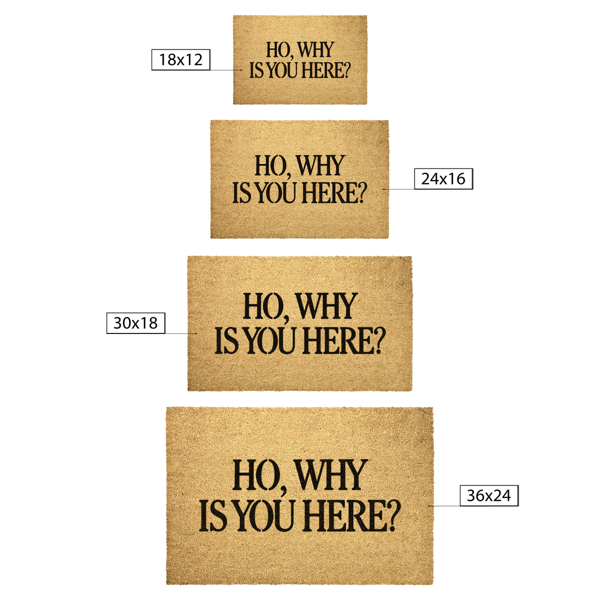 Ho_Why_Is_You_Here_Doormat_Outdoor_Mat_Size_Options_Mockup.png_16303391