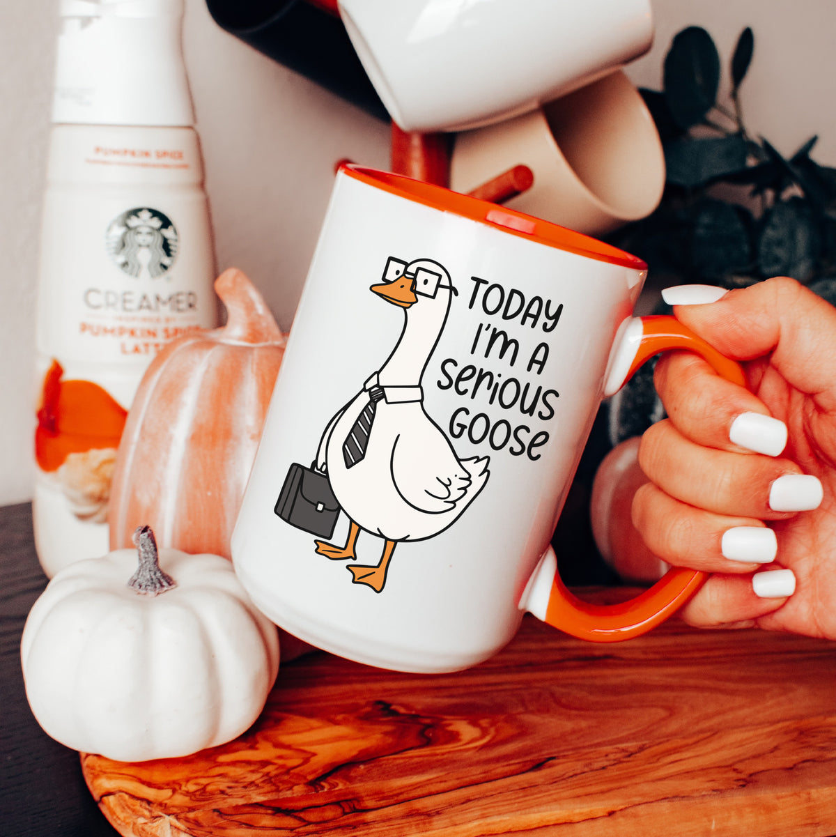 Today I'm A Serious Goose Mug