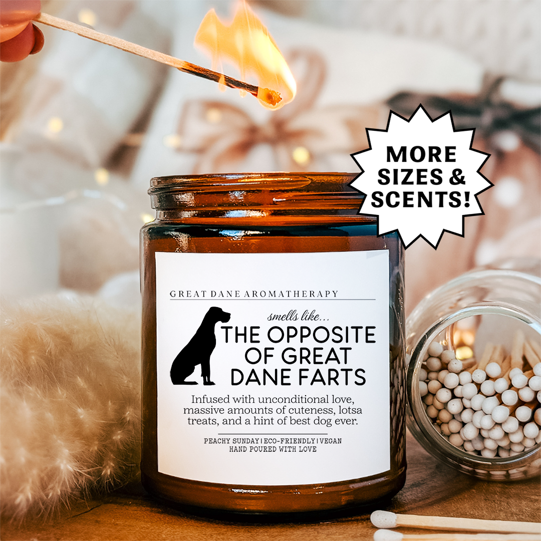 Smells Like The Great Dane Farts Candle