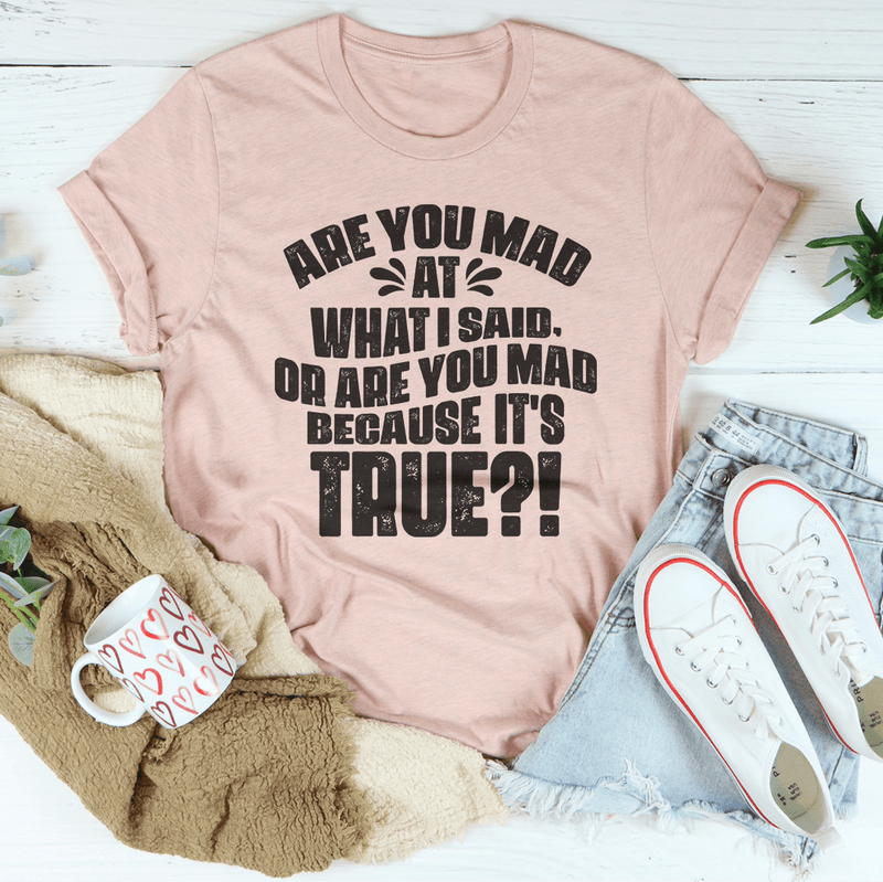Are You Mad At What I Said Or Are You Mad Because It's True Tee Heather Prism Peach / S Peachy Sunday T-Shirt