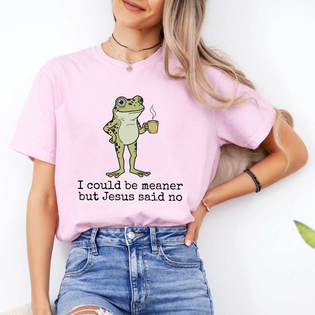 I Could Be Meaner But Jesus Said No Tee