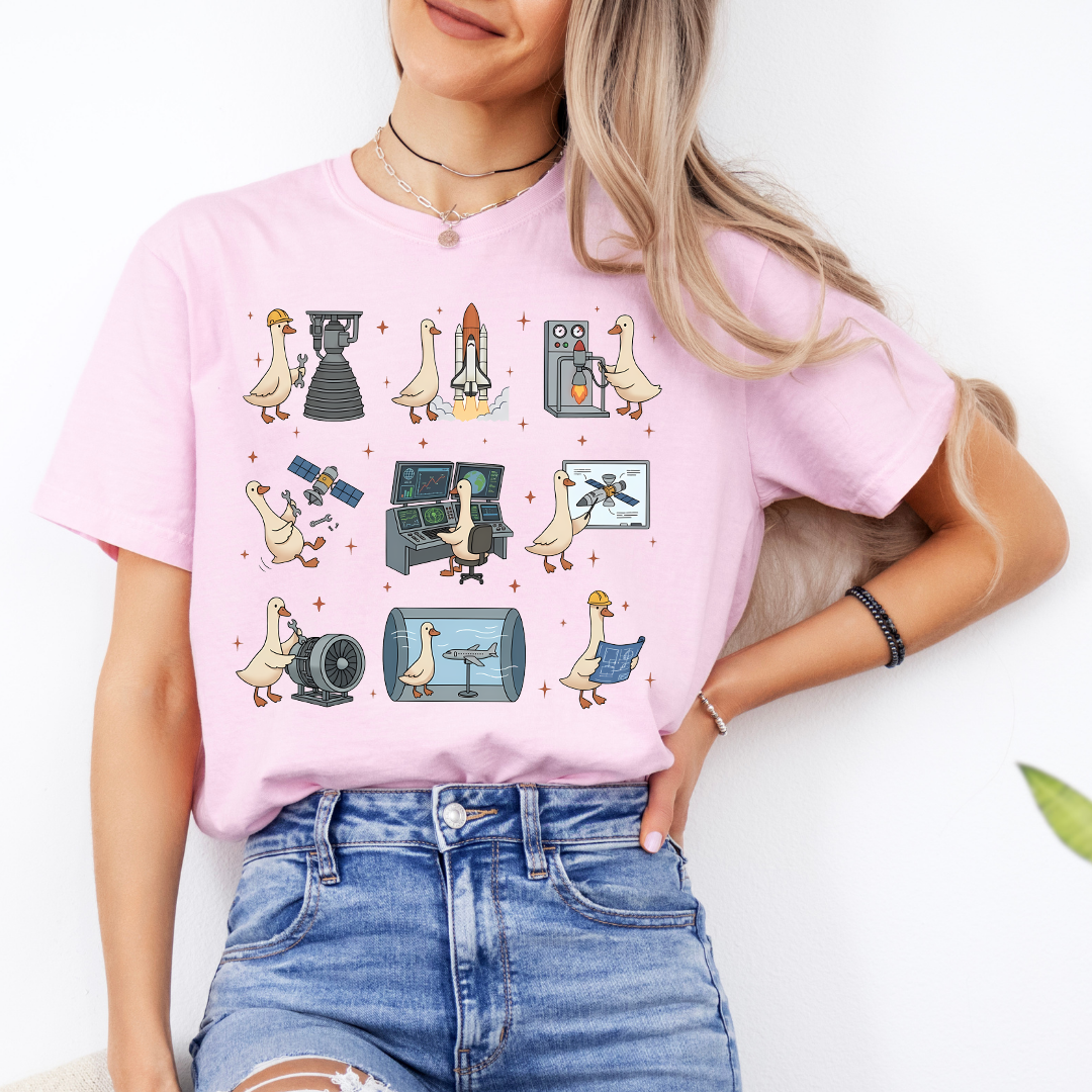 Aerospace Engineer Silly Goose Tee