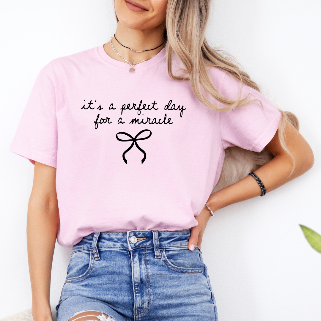 Es ist der perfekte Tag für ein Wunder – T-Shirt
