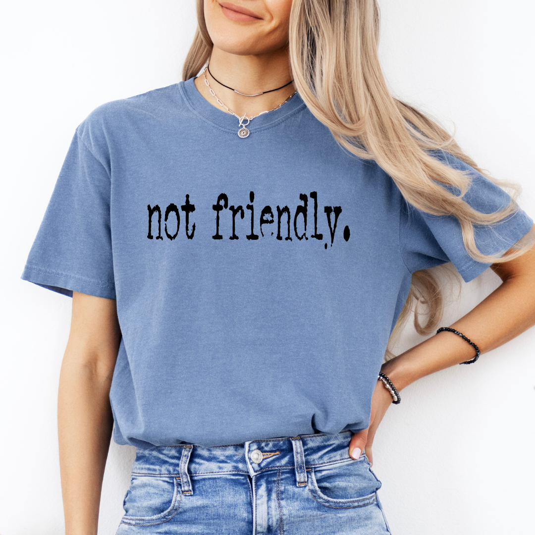 Not Friendly Tee
