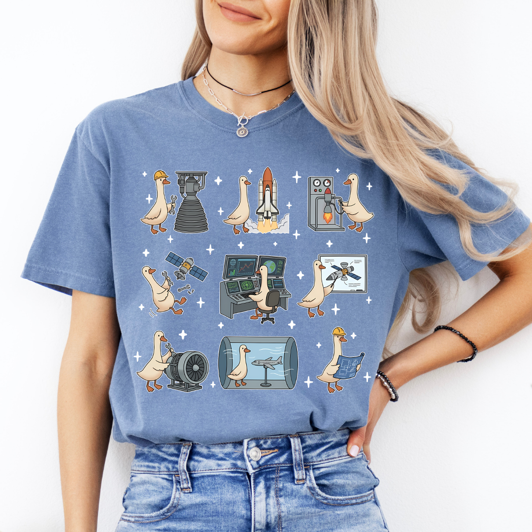 Aerospace Engineer Silly Goose Tee