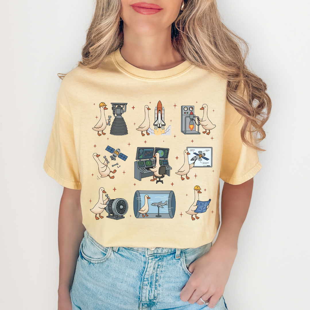 Aerospace Engineer Silly Goose Tee