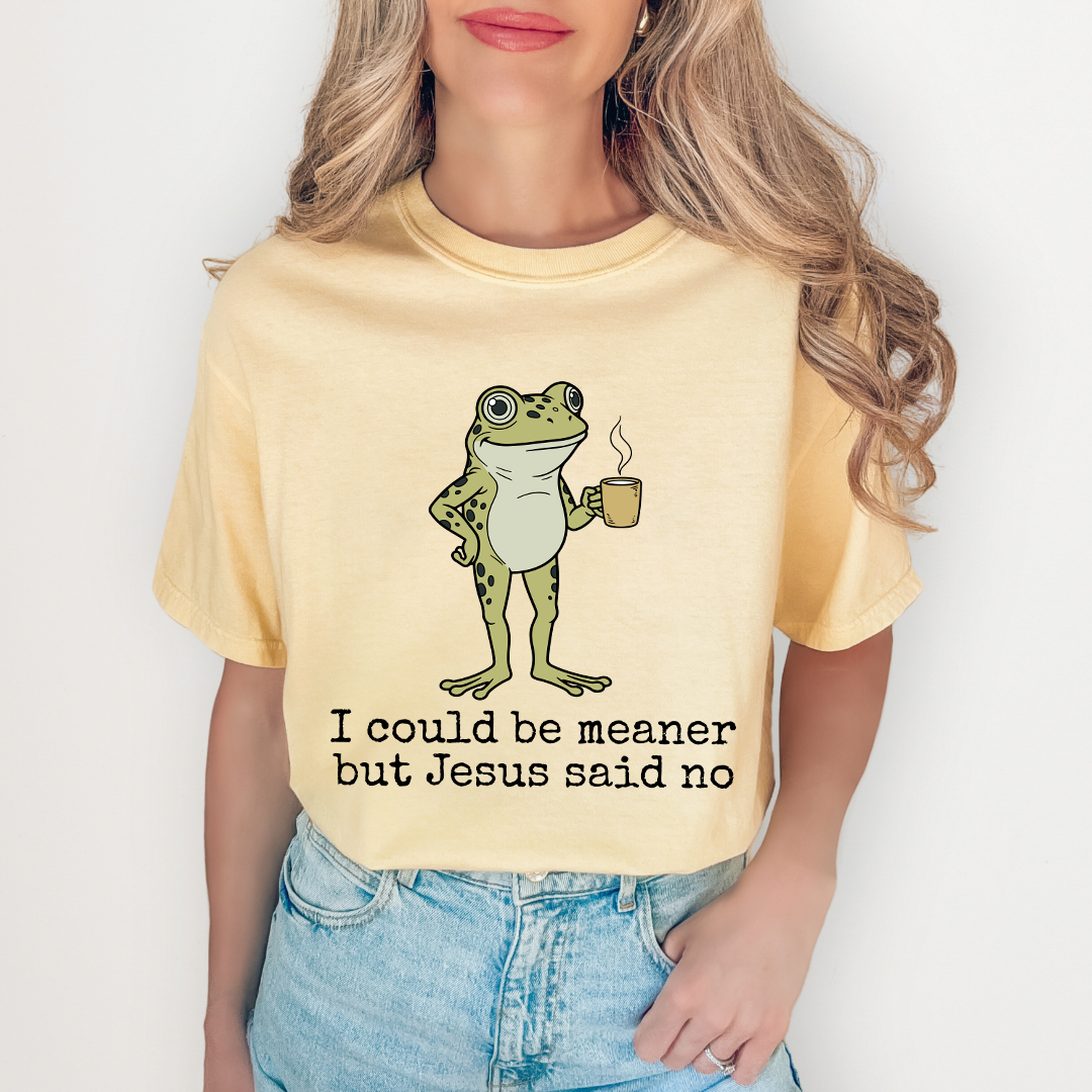 I Could Be Meaner But Jesus Said No Tee