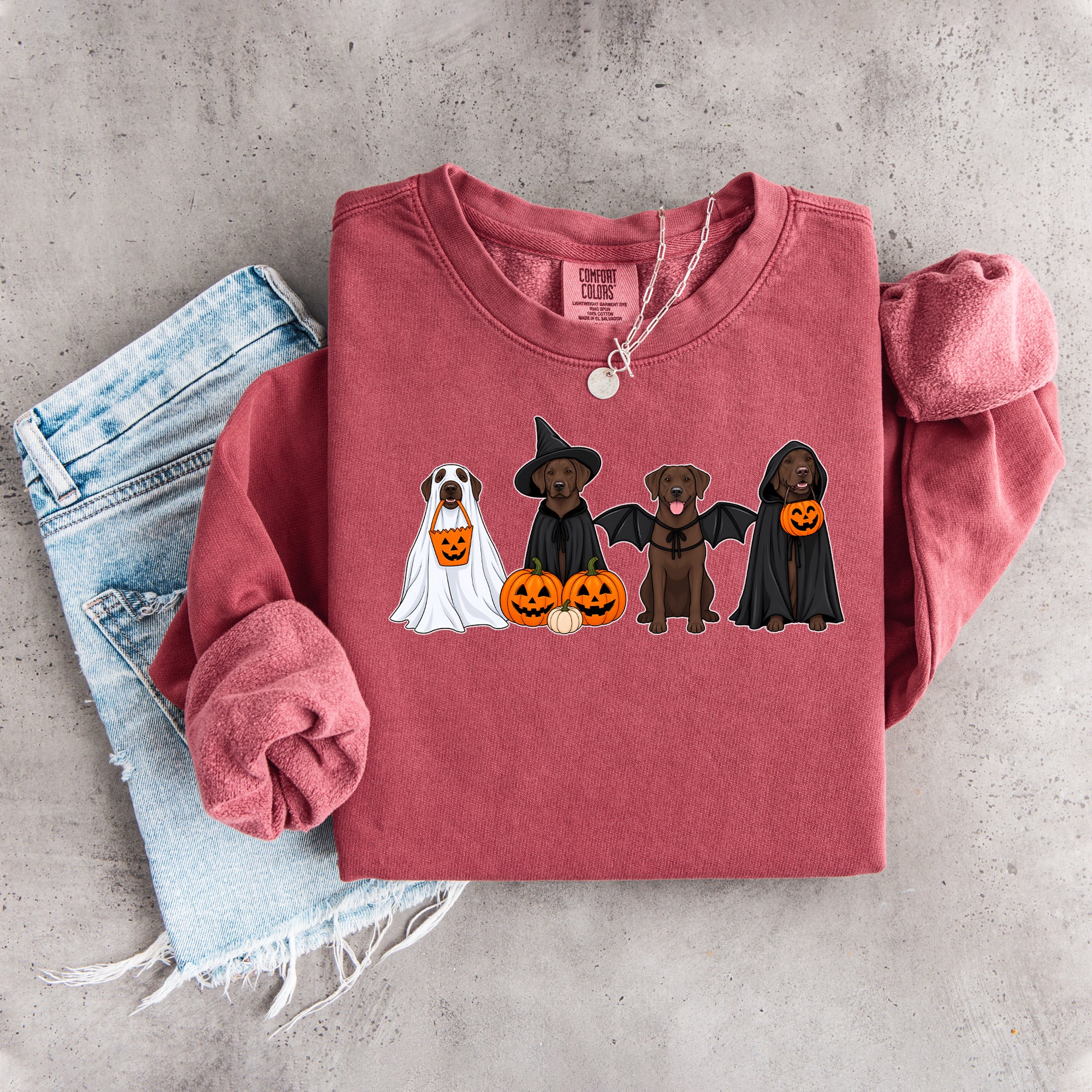 Halloween-Sweatshirt mit braunem Labrador