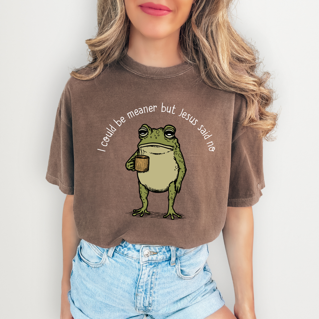 I Could Be Meaner Tee