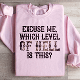 Excuse Me Which Level Of Hell Is This Sweatshirt Peachy Sunday T-Shirt