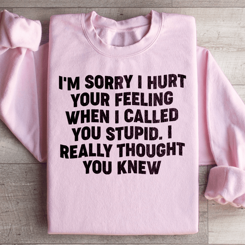 I'm Sorry I Hurt Your Feelings Sweatshirt Light Pink / S Peachy Sunday T-Shirt