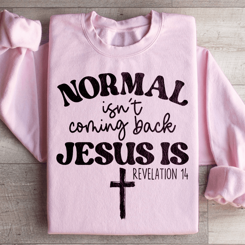 Jesus Is Coming Back Sweatshirt Light Pink / S Peachy Sunday T-Shirt
