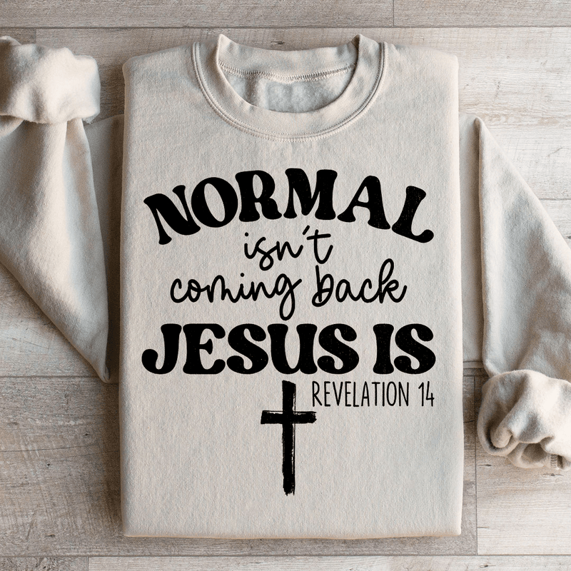 Jesus Is Coming Back Sweatshirt Sand / S Peachy Sunday T-Shirt