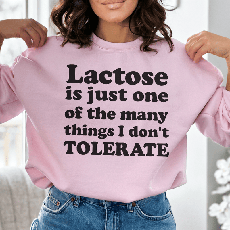 Lactose Is Just One Of The Many Things Sweatshirt Light Pink / S Peachy Sunday T-Shirt