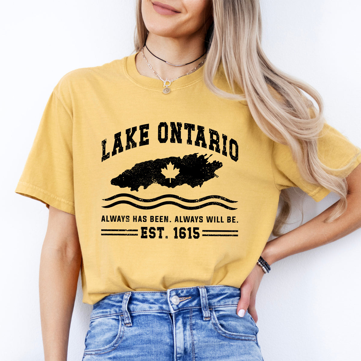 Camiseta del lago Ontario
