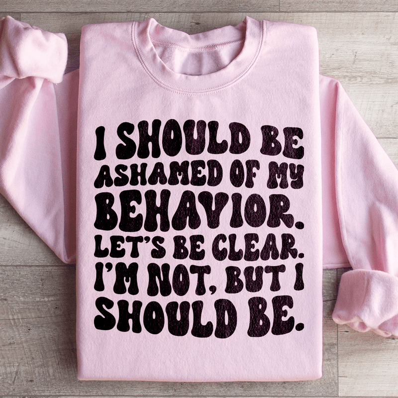 My Behavior Sweatshirt Light Pink / S Peachy Sunday T-Shirt