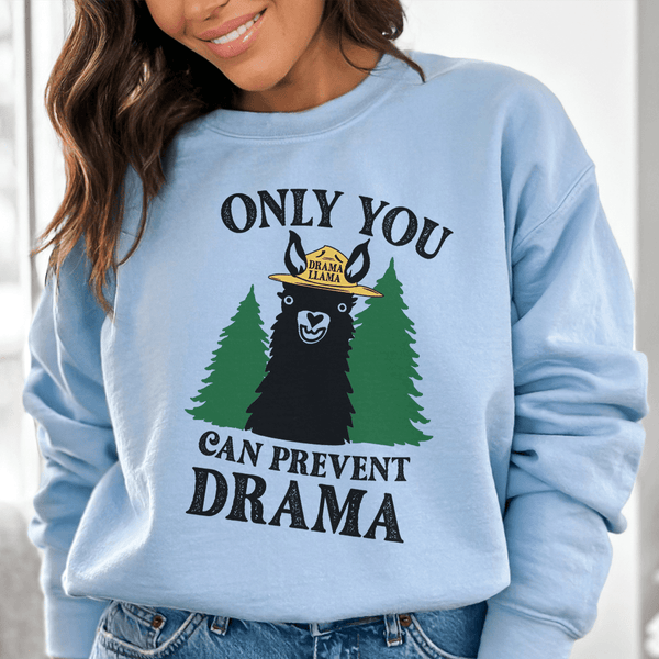 Only You Can Prevent Drama Sweatshirt Light Blue / S Peachy Sunday T-Shirt