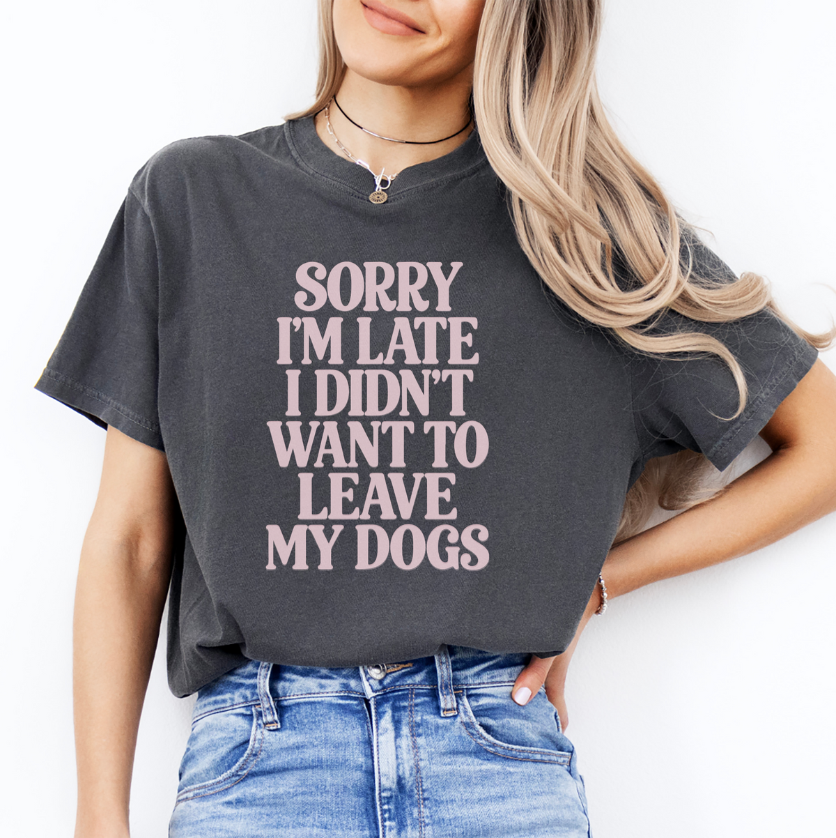 Camiseta «Perdón por llegar tarde»