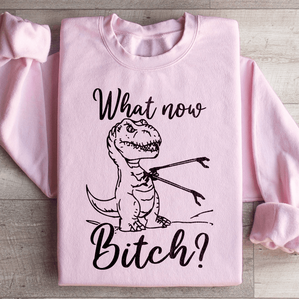 What Now Sweatshirt Light Pink / S Peachy Sunday T-Shirt