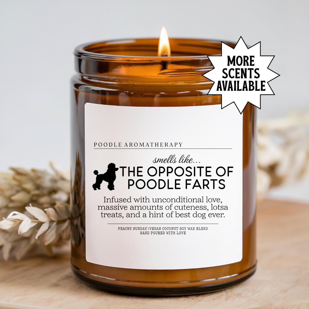 Scented Candles, Coconut Apricot Wax (4oz, 9oz)