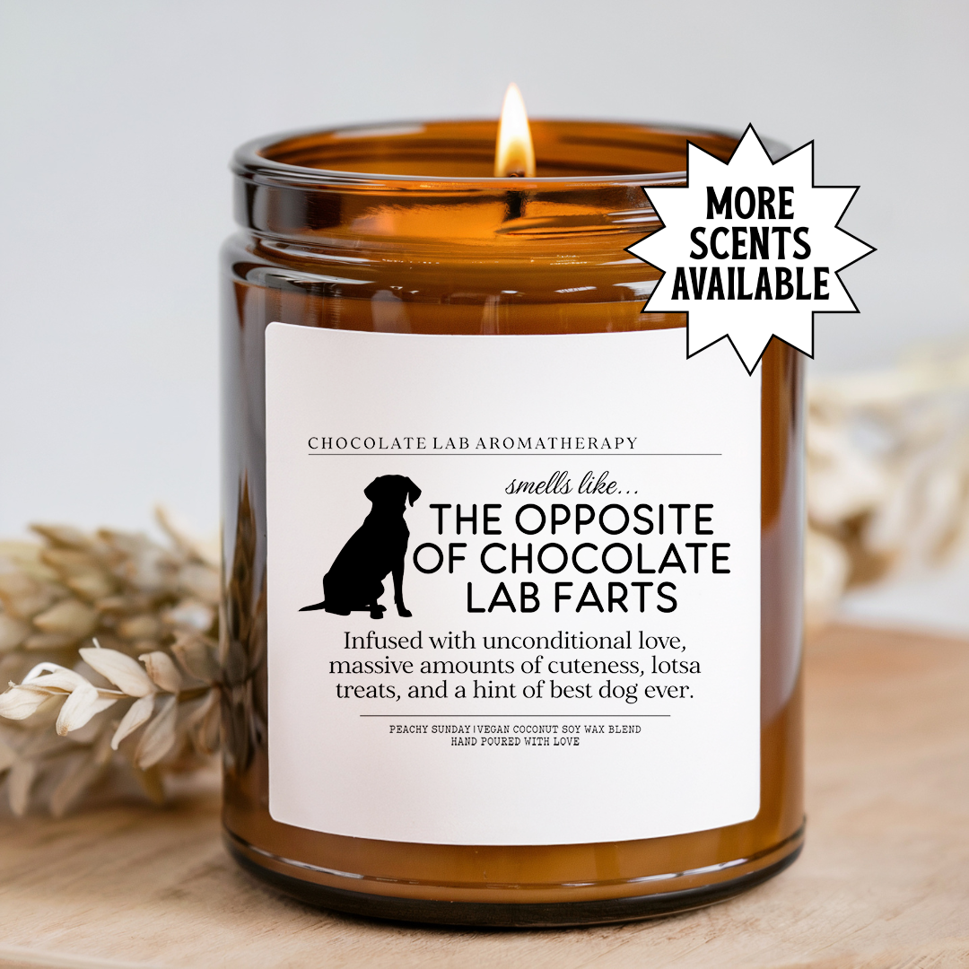 Smells Like The Opposite of Chocolate Lab Farts Candle